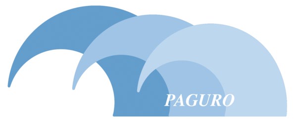 Paguro Logo Paguro Logo